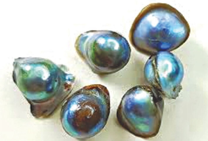 Abalone pearls