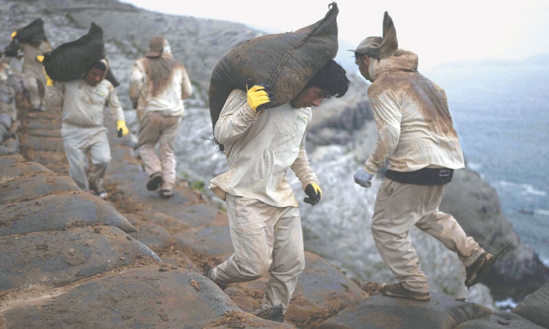 Workers carry sacks with seabird guano on Santa Island, located in Chimbote, in the Ancash department in northern Peru, in early October. Derived from seabird excrement, guano enriched Peru in the 19th century. This natural fertiliser, which is still collected under difficult conditions, now only benefits small farmers. On Santa Island, north of Lima, a hundred workers aged 20 to 60 extract guano that has accumulated over decades from dawn onwards.—AFP Workers carry sacks with seabird guano on Santa Island, located in Chimbote, in the Ancash department in northern Peru, in early October. Derived from seabird excrement, guano enriched Peru in the 19th century. This natural fertiliser, which is still collected under difficult conditions, now only benefits small farmers. On Santa Island, north of Lima, a hundred workers aged 20 to 60 extract guano that has accumulated over decades from dawn onwards.—AFP