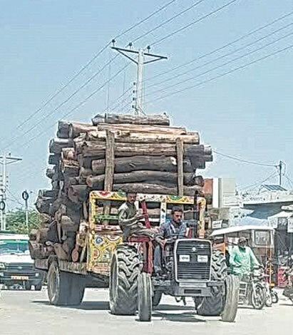 Vehicles loaded with timber are a recurring sight on the roads of Jand in Attock | Photos by the writer