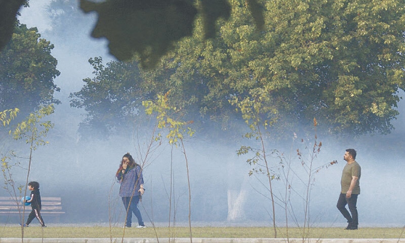 A woman covers her face as she walks in a park where anti-dengue fumigation was carried out on Sunday. — White Star