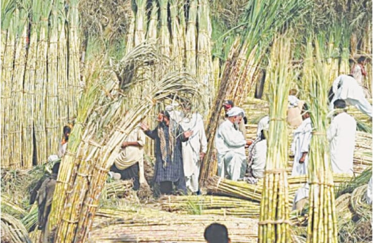 A National Assembly&rsquo;s standing committee has adopted the commerce ministry&rsquo;s report highlighting the need to identify those responsible for allowing sugar exports that harm national interests.&mdash;AFP/file