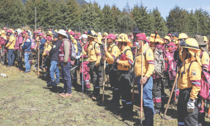 MEMBERS of a commission investigating the disappearance of Mexican villagers take part in the search for human remains.—AFP MEMBERS of a commission investigating the disappearance of Mexican villagers take part in the search for human remains.—AFP