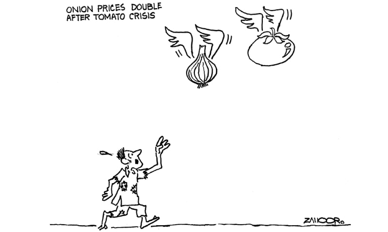 Zahoor's Cartoon