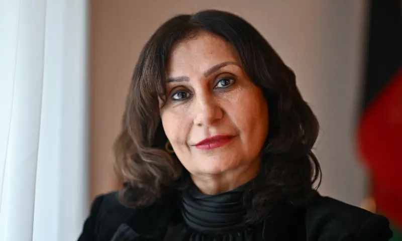 Afghanistan&rsquo;s ambassador to Austria Manizha Bakhtari poses for a picture during her interview with AFP journalists at the Embassy of Afghanistan in Vienna, Austria on October 15, 2025. &mdash; AFP