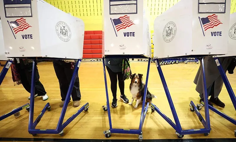 A dog sits as people vote at a polling location at the High School of Art and Design in the Manhattan borough of New York City, the US on November 4. &mdash; AFP