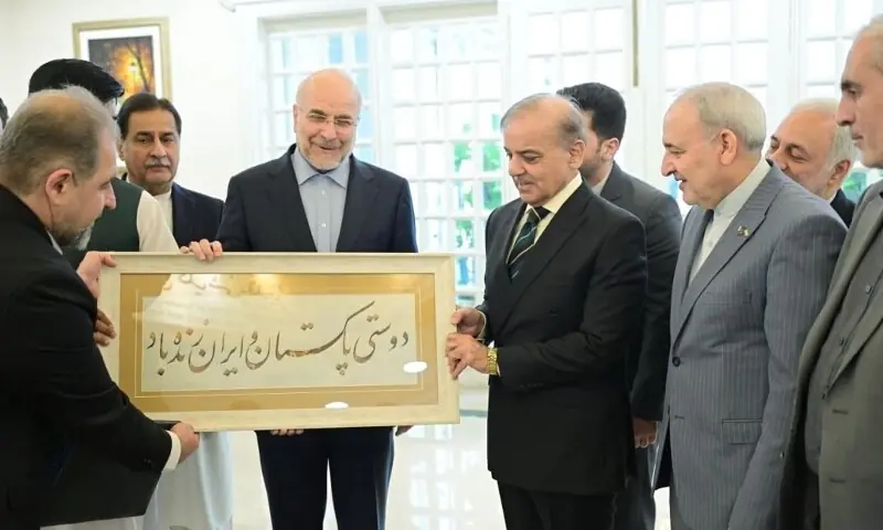 A delegation led by Iran&rsquo;s parliamentary speaker Dr Mohammad Bagher Ghalibaf calls on Prime Minister Shehbaz Sharif on November 7. &mdash; PID