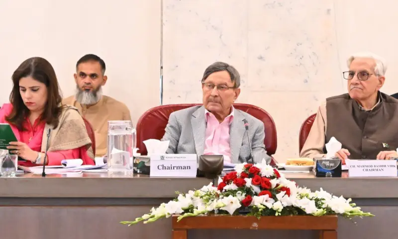 Senator Farooq H. Naek and MNA Chaudhry Mahmood Bashir Virk chair a joint session of the Senate and National Assembly standing committees on law and justice on Nov 8, 2025. — X/SenateofPakistan