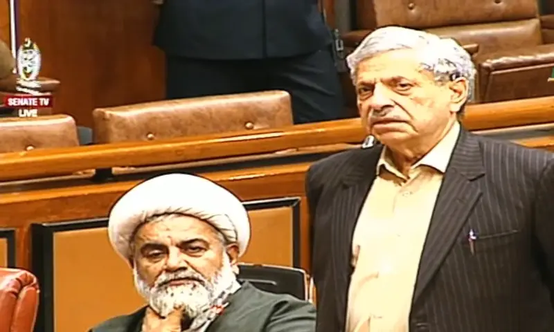 PTI Senator Hamid Khan addresses a Senate session on Nov 9, 2025. — screengrab via YouTube/ PTV Parliament