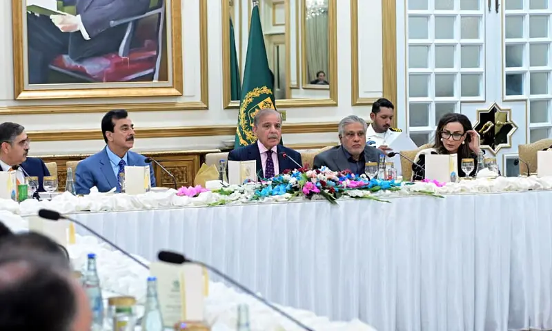 Prime Minister Shehbaz Sharif speaks to senators from coalition parties at a dinner he hosted for them in Islamabad on Sunday. &mdash; Photo courtesy Radio Pakistan