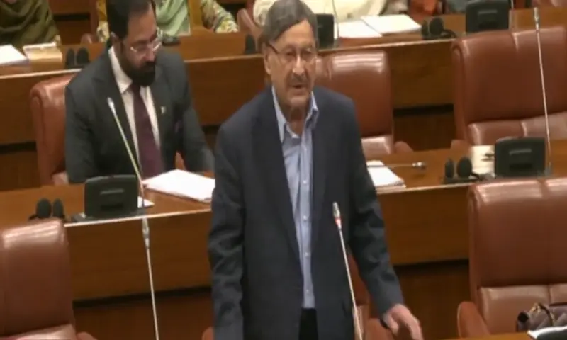 Senate Standing Committee of Law and Justice Chairman Farooq H. Naek addresses the upper house of Parliament on Monday. &mdash; DawnNewsTV