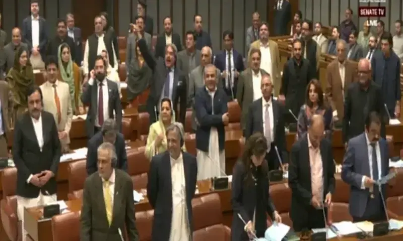 Members of the treasury bench rise up to vote in favour of a clause of the 27th Amendment bill. &mdash; YouTube/Senate of Pakistan