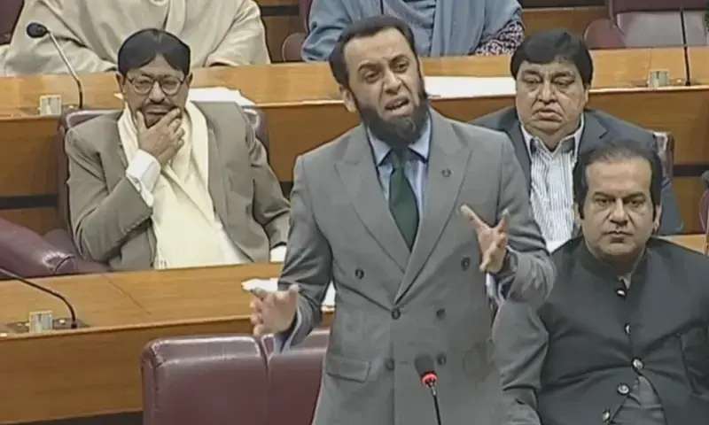 Information Minister Attaullah Tarar speaks in the National Assembly on Nov 12. &mdash; Photo courtesy NA YouTube