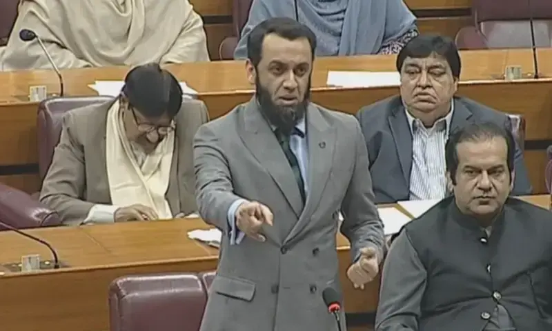 Information Minister Attaullah Tarar speaks in the National Assembly on Nov 12. &mdash; Photo courtesy NA YouTube