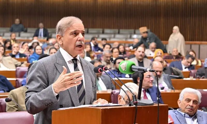 Prime Minister Shehbaz Sharif addresses the National Assembly on 12 November. &mdash; Photo via X/@NAofPakistan