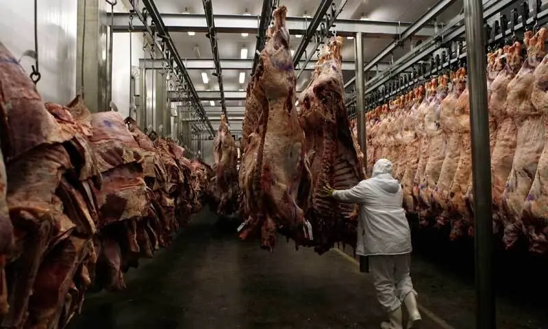 A file photo of a slaughterhouse. — Reuters/File A file photo of a slaughterhouse. — Reuters/File