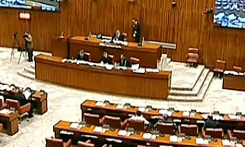 A photo from the Senate session on Nov 14. &mdash; DawnNewsTV