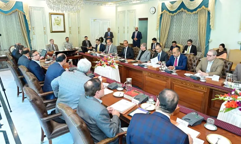 Prime Minister Shehbaz Sharif chairs a weekly review meeting on FBR reforms on November 15. &mdash; PID