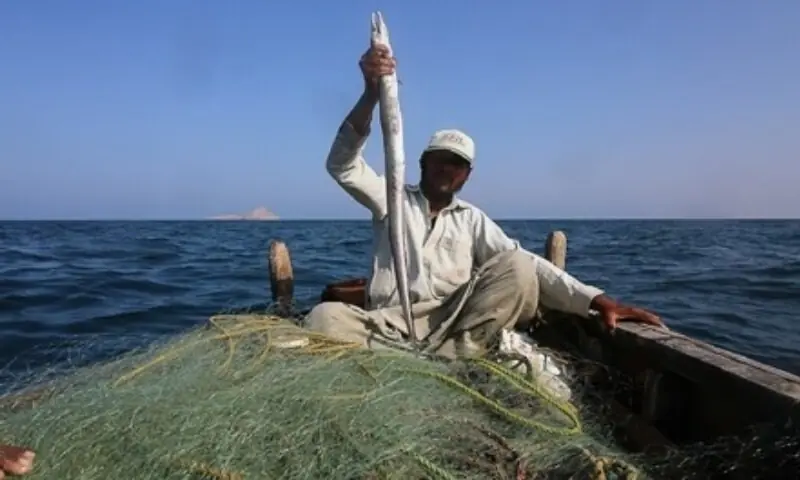 A file photo of a fisherman holding his catch in a boat. — Photo provided by Basil Andrews/File A file photo of a fisherman holding his catch in a boat. — Photo provided by Basil Andrews/File