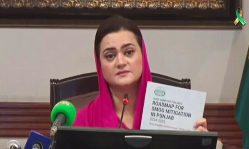 Punjab Senior Minister Marriyum Aurangzeb addresses a press conference in Lahore last year. — DawnNewsTV/File