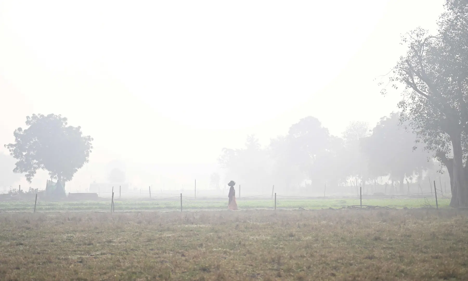A woman walks through a field on a smoggy winter morning in New Delhi on November 21. &mdash; AFP