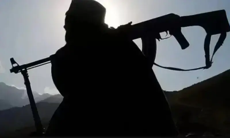 پولیس حکام نے بتایا کہ ہلاک دہشت گردوں سے ہتھیار اور گولا بارود بھی برآمد کیا گیا ہے۔ —فائل فوٹو: سوشل میڈیا پولیس حکام نے بتایا کہ ہلاک دہشت گردوں سے ہتھیار اور گولا بارود بھی برآمد کیا گیا ہے۔ —فائل فوٹو: سوشل میڈیا