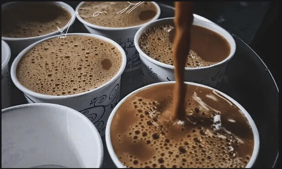 فوٹو: الفا فوٹوگرافی فوٹو: الفا فوٹوگرافی