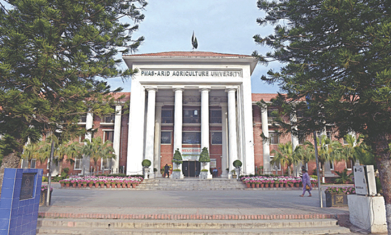 A file photo of Pir Mehr Ali Shah-Arid Agriculture University Rawalpindi on Murree Road. — Dawn/File A file photo of Pir Mehr Ali Shah-Arid Agriculture University Rawalpindi on Murree Road. — Dawn/File