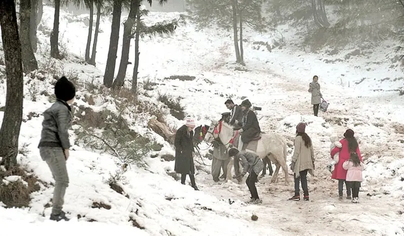 A family enjoys the snow in Murree on Jan 7, 2020.—APP/File A family enjoys the snow in Murree on Jan 7, 2020.—APP/File