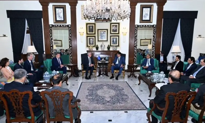 Sindh Chief Minister Syed Murad Ali Shah meets with the European Union (EU) Monitoring Mission at CM House on Tuesday. &mdash; Photo courtesy Sindh CM/X