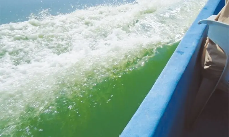 This file photo from 2017 shows a snapshot of the decaying sea sparkle bloom in offshore waters. &mdash; Photo courtesy Faiza Ilyas