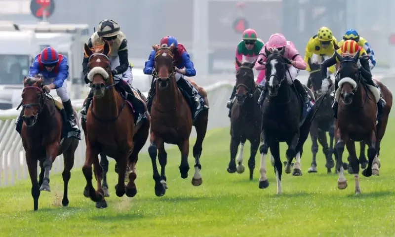 Horse racing in Hong Kong will fall silent on Sunday and take place behind closed doors after the deadly fire in the city this week, while also donating millions of dollars. Photo via South China Morning Post/File Horse racing in Hong Kong will fall silent on Sunday and take place behind closed doors after the deadly fire in the city this week, while also donating millions of dollars. Photo via South China Morning Post/File