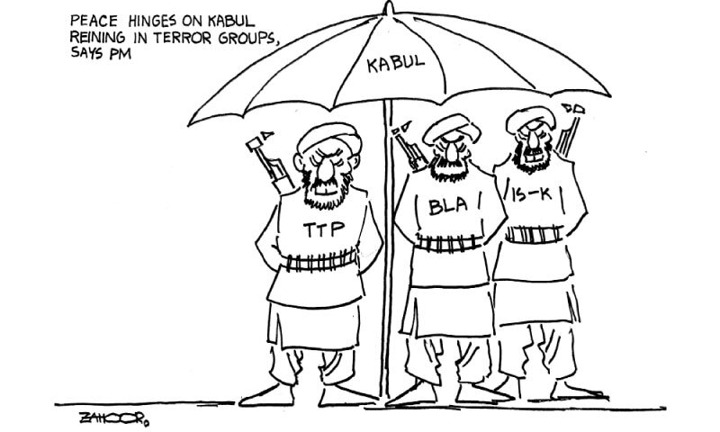Zahoor's Cartoon