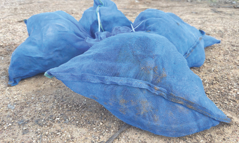 The seized macaque monkeys in blue mesh bags after an operation by Thailand&rsquo;s  wildlife department in Sa Kaeo province, near the border with Cambodia.&mdash;AFP