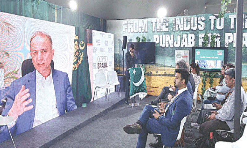 MINISTER for Climate Change Dr Musadik Masood Malik addresses &lsquo;Climate Finance Dialogue&rsquo; via video link from Islamabad.&mdash;APP