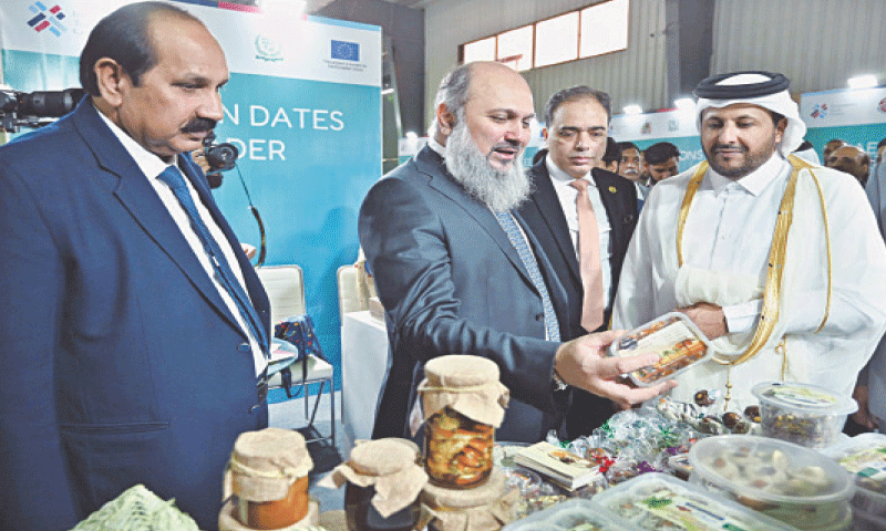 Commerce Minister Jam Kamal Khan visits stalls at the three-day Food and Agriculture Expo 2025 on Tuesday. &mdash; APP