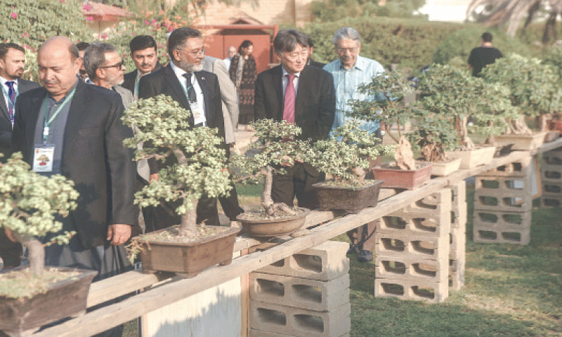 CONSUL General of Japan at Karachi Hattori Masaru (second from right) views bonsai trees on display at the exhibition.&mdash;Fahim Siddiqi / White Star