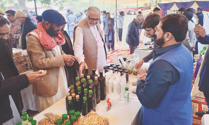 Visitors take keen interest in organic food items on display at the 10th Peanut Festival in Attock on Friday. &mdash; Dawn