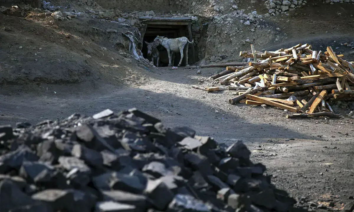Donkeys stand at the entrance of a coal mine in Pakistan.  &mdash; Reuters/File