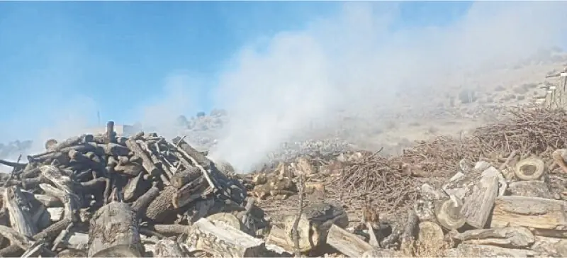Precious oak wood being used as fuel in a charcoal kiln in Lower South Waziristan. &mdash; Dawn