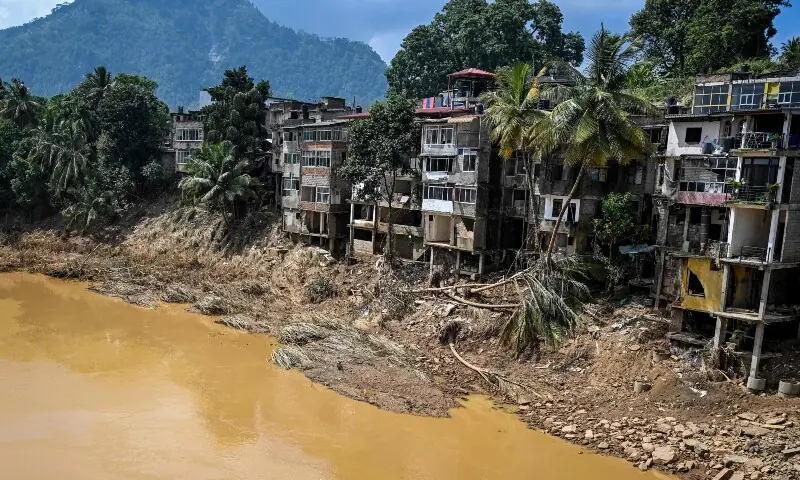 Uprooted trees lie along damaged buildings following a landslide in the aftermath of Cyclone Ditwah in Gampola town, in Kandy district on December 4. &mdash; AFP
