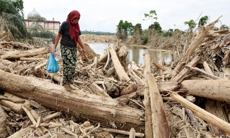 A survivor carries relief supplies while walking through tree trunks that were stranded in an area affected by a deadly flash flood following heavy rains in Karang Baru, Aceh Tamiang regency, Aceh province, Indonesia, December 6. &mdash; Reuters