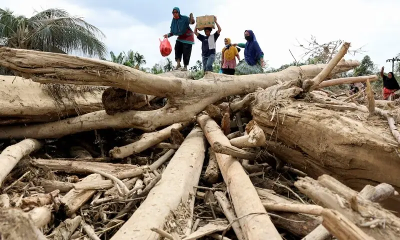 Survivors walk through tree trunks that were stranded in an area affected by a deadly flash flood following heavy rains in Karang Baru, Aceh Tamiang regency, Aceh province, Indonesia, December 6. &mdash; Reuters
