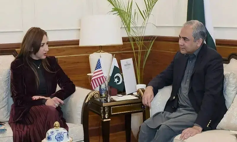 Interior Minister Mohsin Naqvi meets Acting US Ambassador Natalie Baker in Islamabad on Dec 6. &mdash; Radio Pakistan