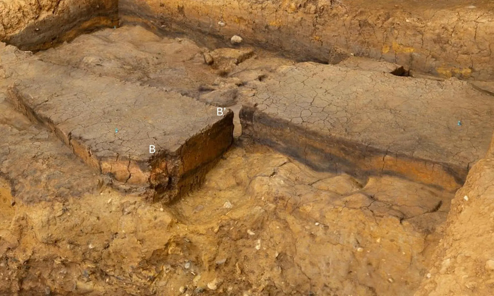 A view of an ancient campfire site near Barnham, a village in England. &mdash; Reuters