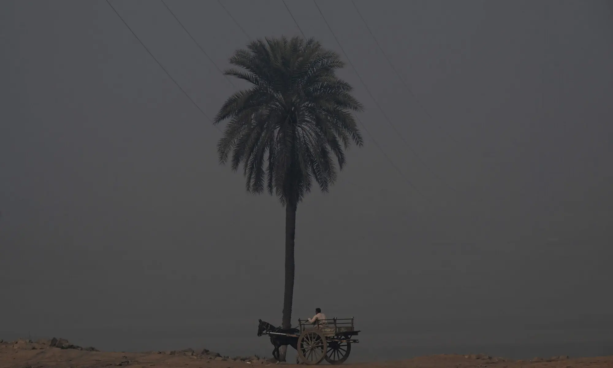 A man rides his horse cart along a road amid dense smog in Lahore on December 11, 2025. — AFP A man rides his horse cart along a road amid dense smog in Lahore on December 11, 2025. — AFP