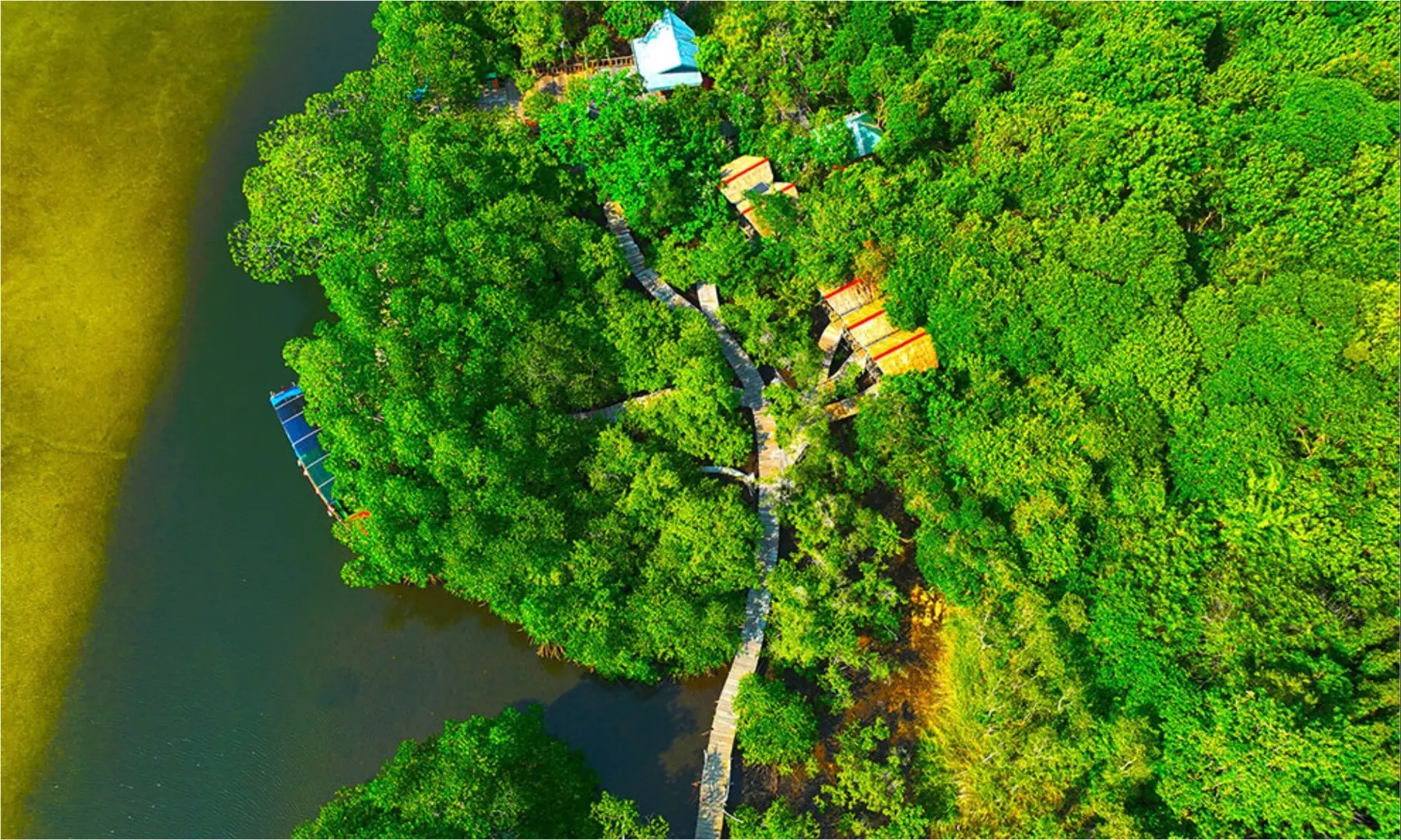 The bird’s-eye view captures the final stretch of the mangrove forest at the Prek Kongkang Koh Rong Ecotourism Community. — Supplied
