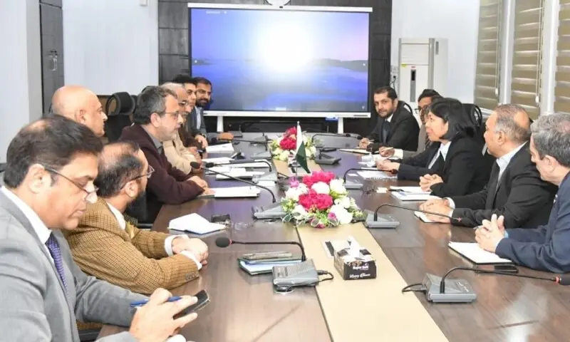 Power Minister Sardar Awais Leghari meets a delegation from the Asian Development Bank led by Leah Gutierrez, the director general of the Central and West Asia Department, in Islamabad on Dec 17. &mdash; Photo courtesy PID