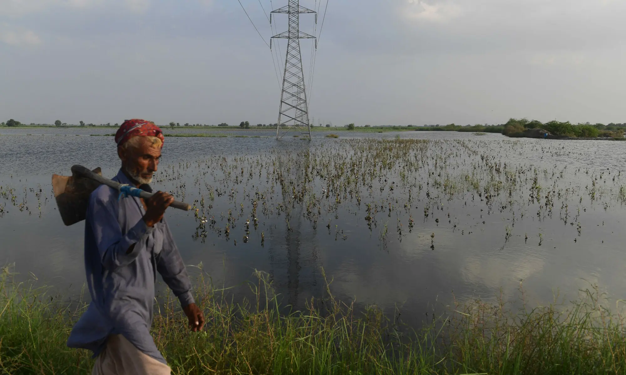 In this 2022 file photo, a labourer walks past cotton crops damaged by flood waters at Sammu Khan Bhanbro village in Sukkur. — AFP/File In this 2022 file photo, a labourer walks past cotton crops damaged by flood waters at Sammu Khan Bhanbro village in Sukkur. — AFP/File