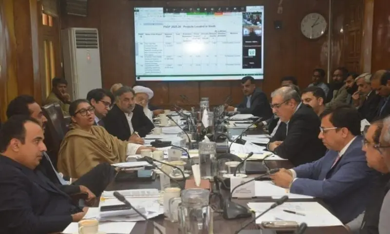 Senate Standing Committee on Planning, Development and Special Initiatives met under the chairpersonship of Senator Quratulain Marri in Karachi on Dec 18. &mdash; Photo courtesy Senate of Pakistan/X