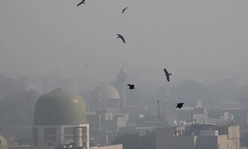 This aerial view shows a residential area covered under heavy smog during the morning in Lahore on December 7. &mdash; White Star